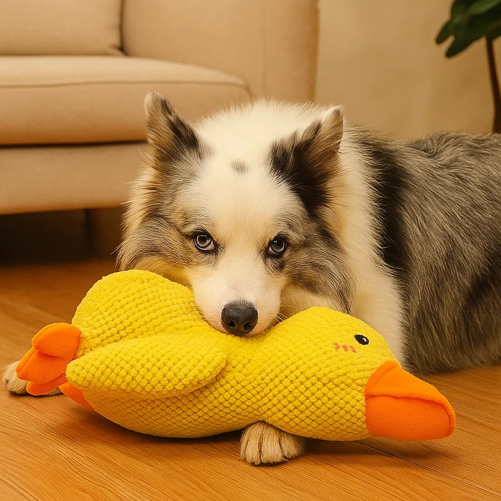 Canard couineur pour chien, texture tricotée douce