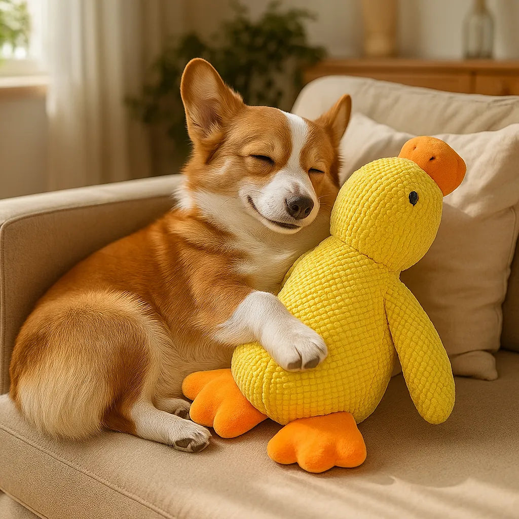 Chien jouant avec le canard couineur à l'intérieur