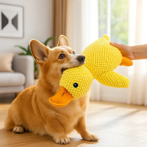 Chien tenant le canard couineur jaune dans sa gueule