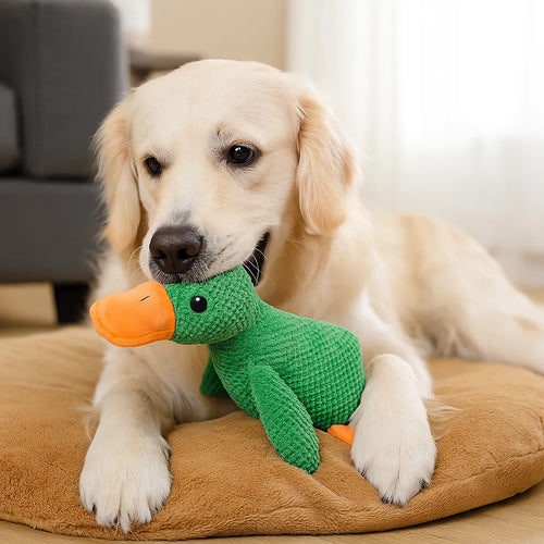 Canard couineur en peluche tricotée pour chien